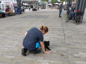 IMG_20200617_083059