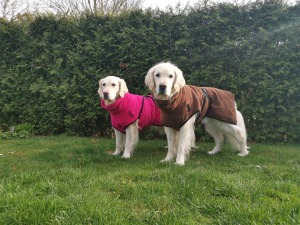 Hundeschule Rose - Empfehlung Bademantel von www.lotteundanna.de